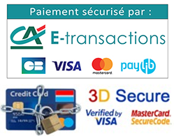 e_transactions_pg.png